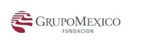fundación grupo méxico