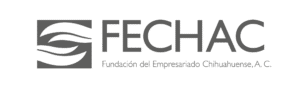 logo fechac gris horizontal